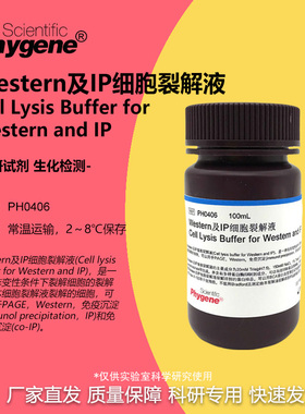 Western及IP细胞裂解液 送PMSF 100mL 免疫沉淀 [PH0406 PHYGENE]