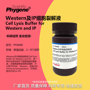 Western及IP细胞裂解液 送PMSF 100mL 免疫沉淀 [PH0406 PHYGENE]
