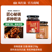 拌饭拌面酱调料酱下饭210g 麻辣 凤归巢杏鲍菇酱原味 五香味