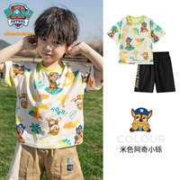 Бежевая малага (242PS0161)+Черные брюки (242PK0204) Мужская модель