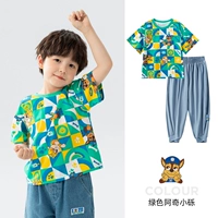 Зеленая T -Fork (242PS0162)+Серые брюки (232PK0099) Мужские модели