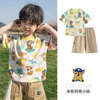 БЕЙГЕЙ T -FORIRT (242PS0161)+ХАКИ брюки (242PK0204) Мужская модель