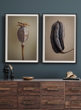 Levon Biss微观植物摄影黑色外框个性卧室装饰客厅组合高端挂画