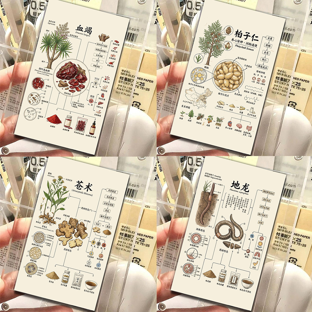 72张本草纲目小卡每日懂一味中药材传统医学文化经典中药材科普