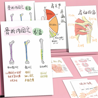 人体结构医学生身体研究病症解剖学知识点学习器官彩绘高清小卡