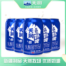 terun新疆天润奶啤300ml 乳酸菌饮品12罐 12瓶罐装 天润奶啤