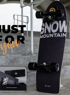 DK 稀有玩家 陆地冲浪板 男女儿童初学者路冲板 专业滑板陆冲板