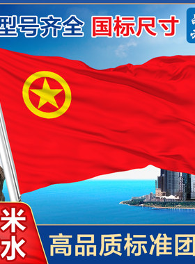 共青团手持带杆旗子定制2号