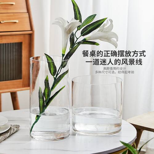 富贵竹大号马醉木玻璃花瓶落地