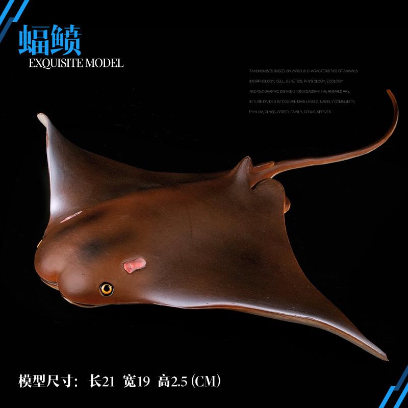 魔鬼鱼模型海洋动物鱿鱼