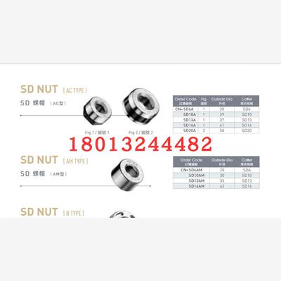 CN-SD10A3AM620台湾广