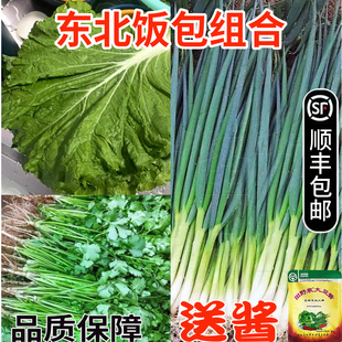 顺丰包邮东北饭包组合农家小葱1斤新鲜菜叶10片现采摘香葱2两