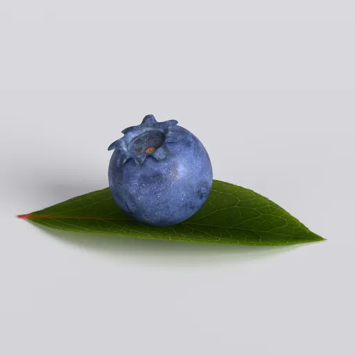 蓝莓3d模型素材含贴图blender/fbx/obj写实水果