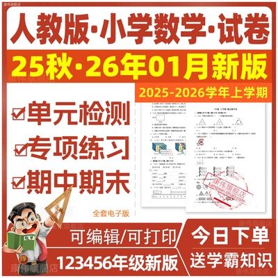 人教版小学数学试卷电子版