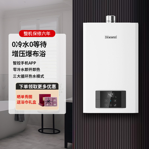 Rinnai/林内RUS-R16E51G-CB/R20E51G-CB燃气热水器恒温零冷水16升