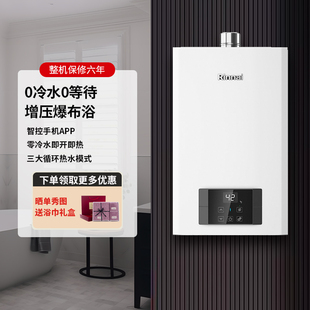 R20E51G Rinnai R16E51G CB燃气热水器恒温零冷水16升 林内RUS