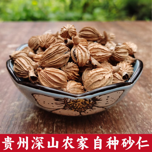 贵州砂仁果干货煲汤调料包邮