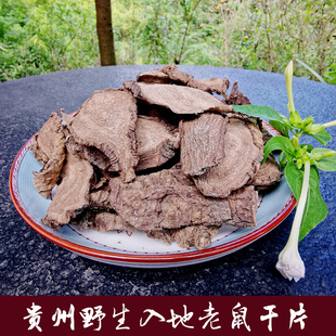 野生钻入地老鼠 优质农家干片药膳汤料中药材紫茉莉烟脂花根500g
