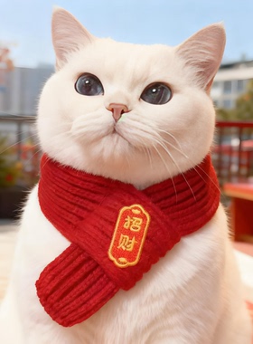 猫咪围脖小狗可爱新品毛线宠物围巾围兜狗狗保暖配饰新年红色喜庆