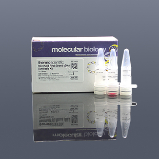 Fermentas/MBI RT逆转录试剂盒 K1622 100T