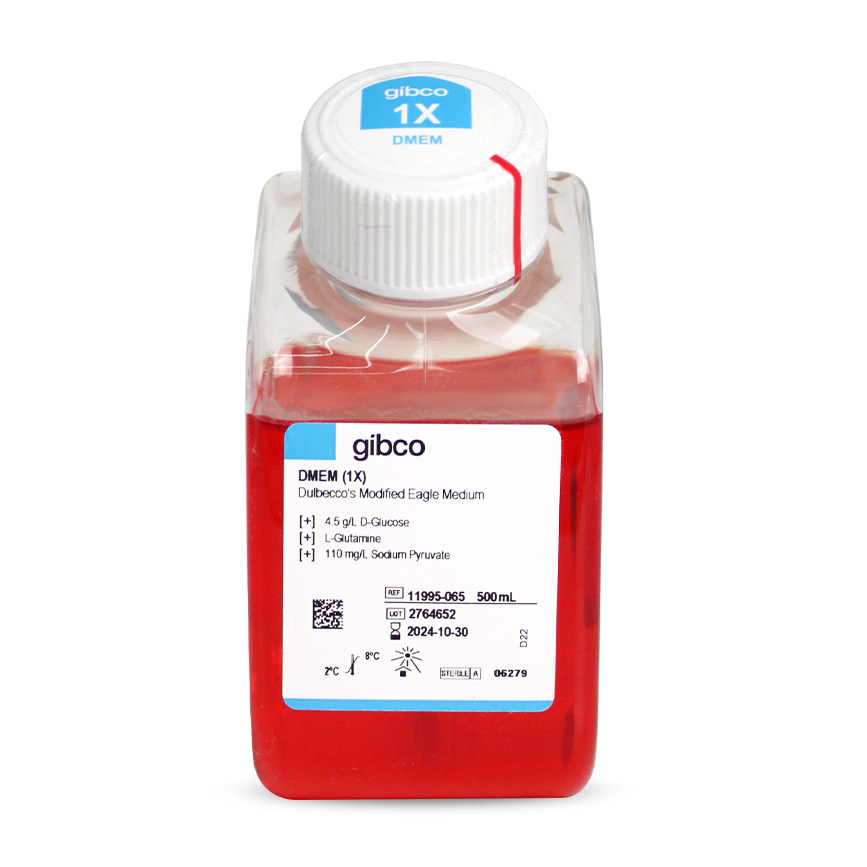Gibco DMEM高糖培养基(含L-谷氨酰胺, 丙酮酸钠) 11995-065 500ml