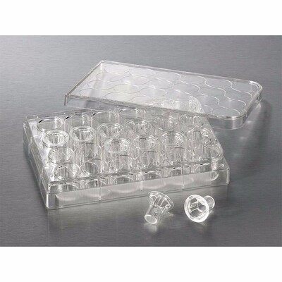 Transwell嵌套3413Costar