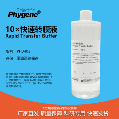 10×快速转膜液科研专用