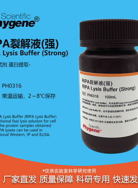 RIPA裂解液 强中弱 蛋白细胞组织裂解液 实验试剂 100ML PHYGENE