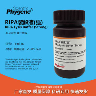 RIPA裂解液 强中弱 蛋白细胞组织裂解液 实验试剂 100ML PHYGENE