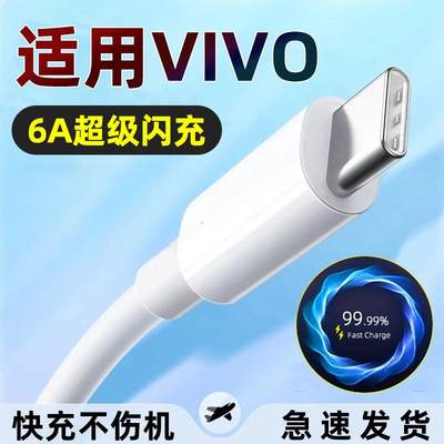 适用vivoS9e充电器头V2048A数据线typeC超级快充头vⅰvo速viv0冲vovi圆口vovo vivi手机闪充插头通用加长短线