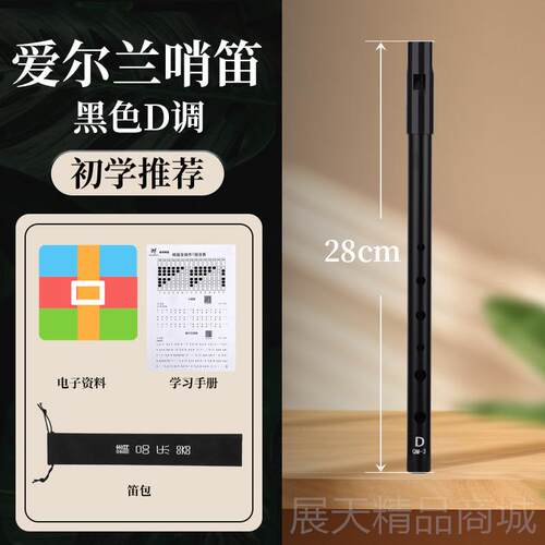 正品爱尔兰哨笛c调D属调专业级笛高音竖质六孔金笛子新款初学小乐