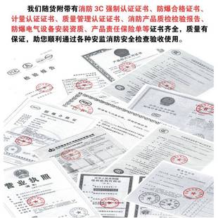 正品工业可检燃制气体二氯乙烷泄漏报警器气体浓度测仪探测器控主