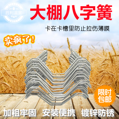 大棚双钩八字簧加粗镀锌引线簧带孔大双钩压膜线卡槽固定专用双钩,农机/农具/农膜,温室大棚支架,淘宝优惠券,粉丝福利购,淘宝优惠卷
