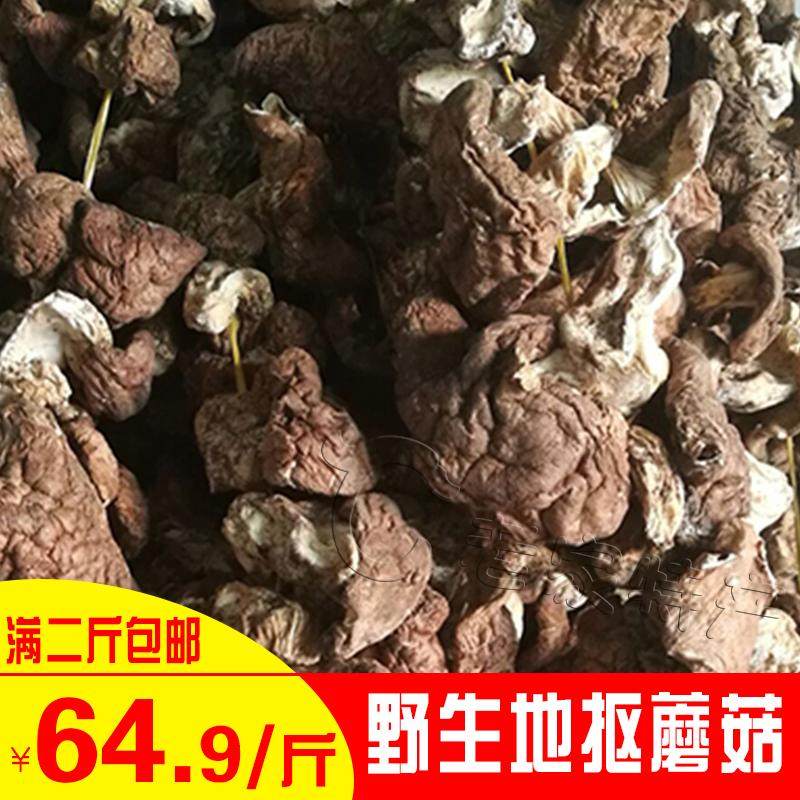 内蒙古 赤峰 地抠蘑  新蘑菇野生杨树林地抠蘑菇二斤包邮!