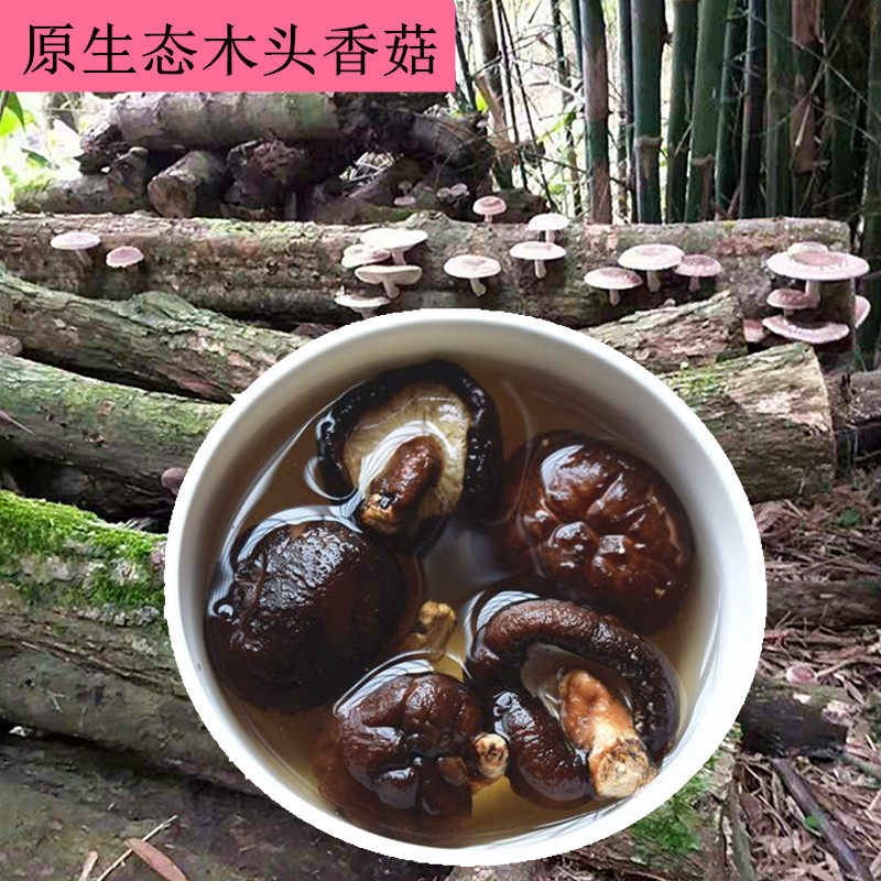野生原木香菇天然冬菇干货广东封开土特产原生态椴木树菇500g包邮