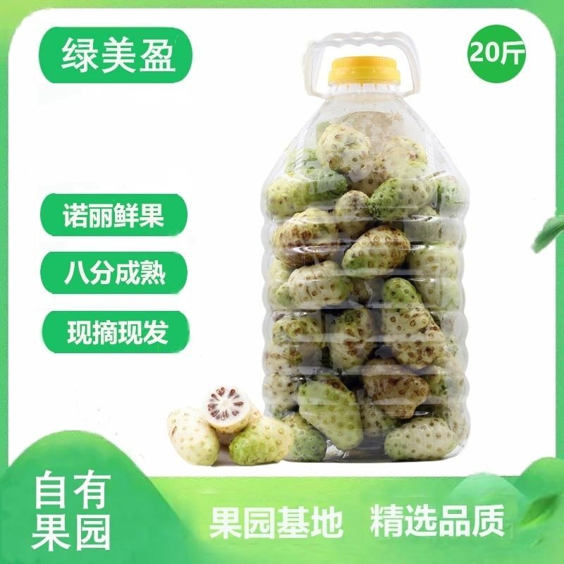海南诺丽鲜果农产品诺尼果发酵原料20斤包邮野生现摘现发