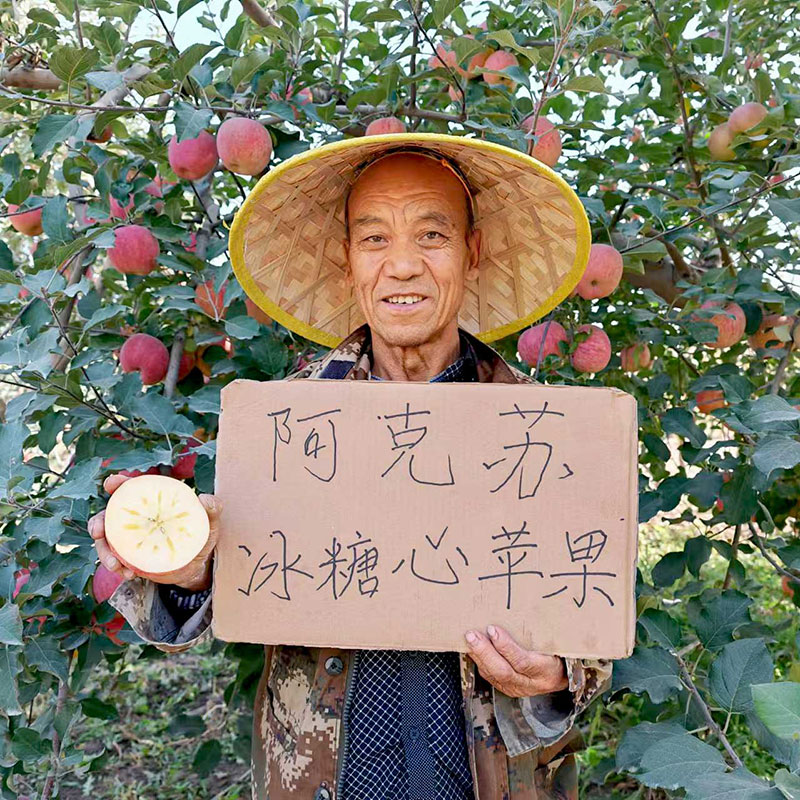 正宗新疆阿克苏冰糖心苹果精选特级当季新鲜水果丑苹果产地直发