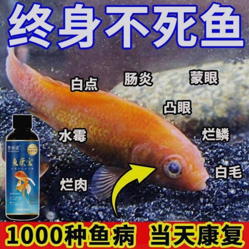 治千种鱼病】鱼康宝鱼药烂身烂尾白点白毛掉鳞专用液