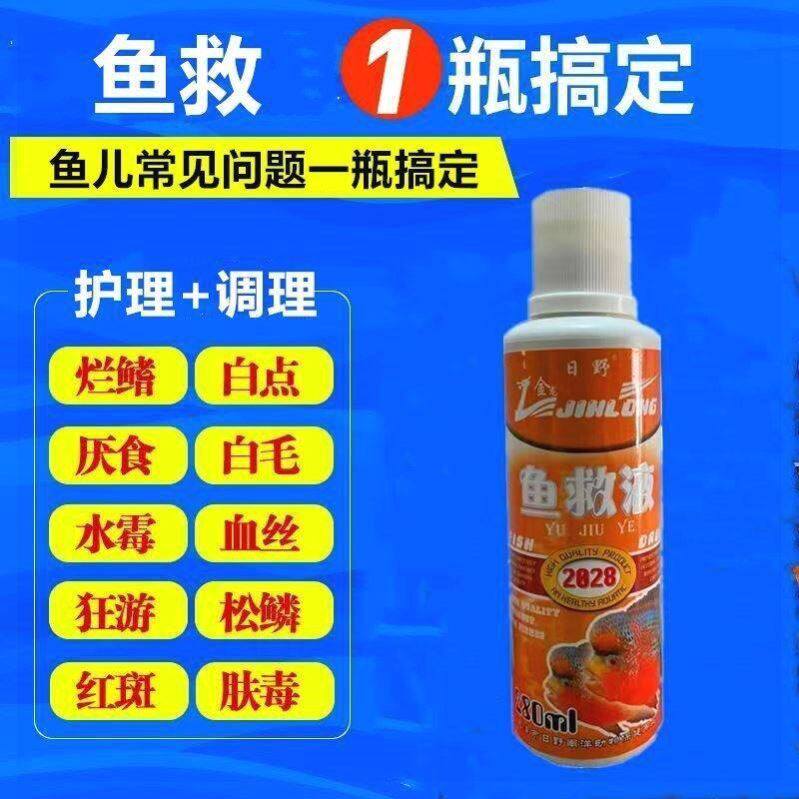 日野鱼救锦鲤金鱼鱼救疾病护理观赏鹦鹉鱼调理鱼缸鱼白点伤烂护理