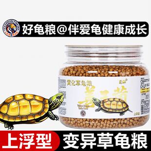 白玉乌龟饲料白化草龟善玉菌龟粮招财龟金线草龟长寿变异龟墨龟