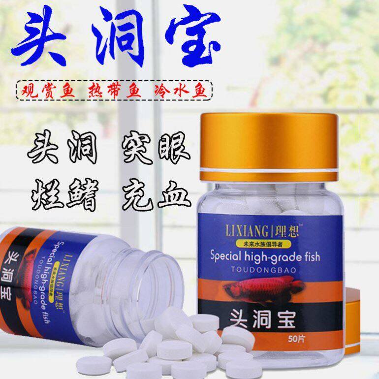 万能大白片观赏鱼罗汉内寄药凸眼蒙眼头洞宝片腹水鹦鹉鱼