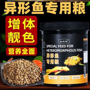 异形鱼饲料清道夫底栖鱼下沉型鱼食大帆胡子鱼熊猫异形黄金达摩