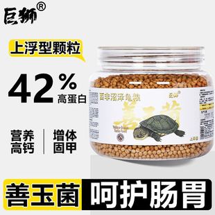 沼泽侧颈龟龟粮西非侧颈龟饲料仰泳龟善玉菌龟粮网红龟苗开口饲料