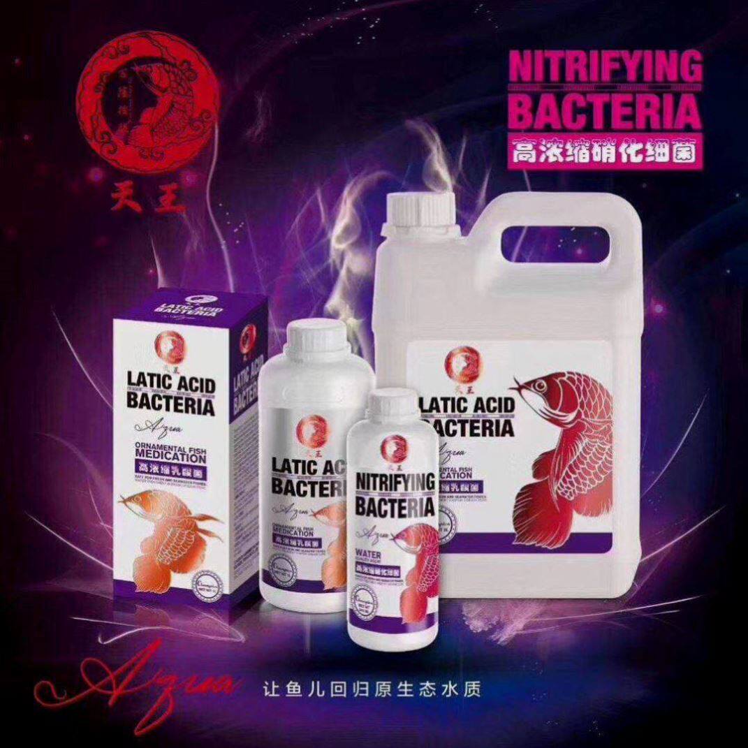 万隆天王高浓缩硝化细菌 水质稳定剂 龙鱼综合营养液