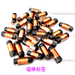 RFID 6*15MM钉子标签 5577 门禁复制透明/圆柱形ID卡/滴胶-125KHz