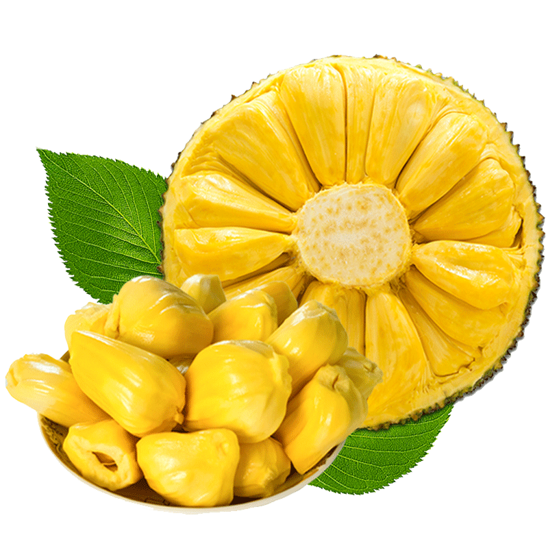 海南三亚菠萝蜜新鲜水果波罗蜜当季一整个10-40斤整箱包邮红肉