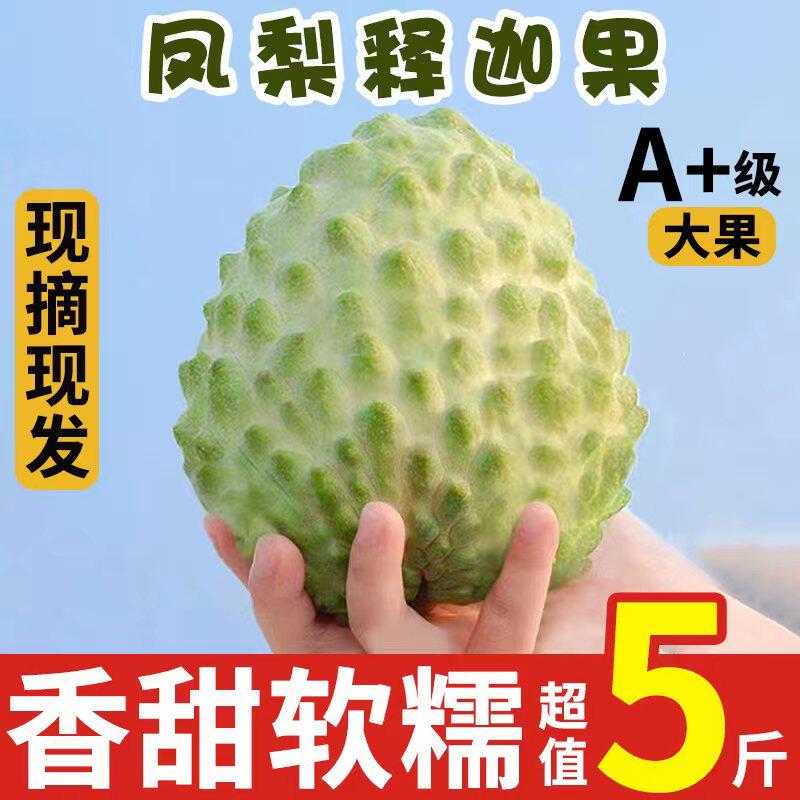 新鲜现摘释迦果5斤凤梨牛奶大目番荔枝大果摩尼果当季水果整箱10怎么看?