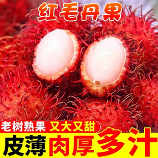当季海南红毛丹新鲜水果毛荔枝不常见的孕妇热带水果整箱特产包邮