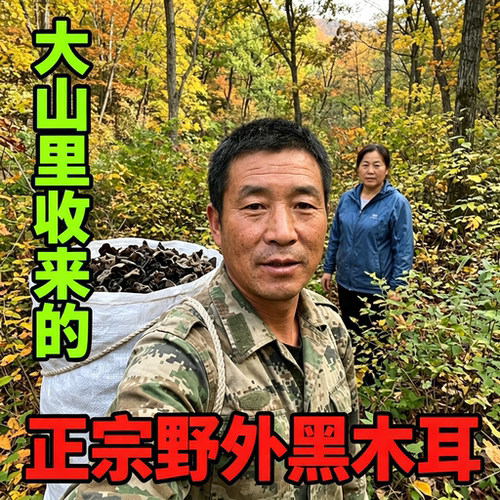 木耳东北黑木耳干货500g椴木小碗