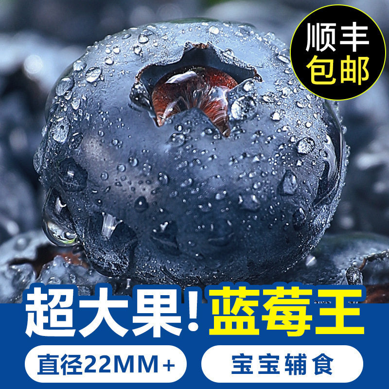 秘鲁进口蓝莓现摘冷链顺丰包邮